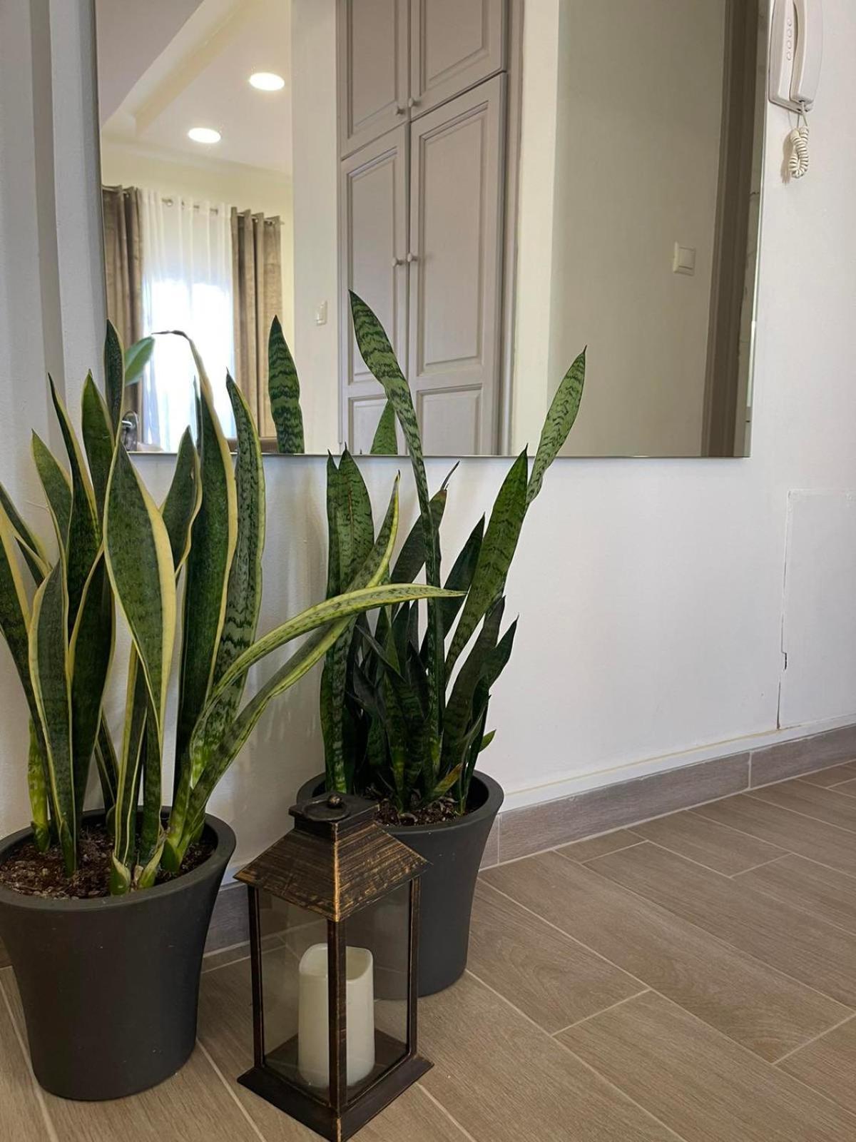 Apartmán Andromachi 2 Volos Exteriér fotografie